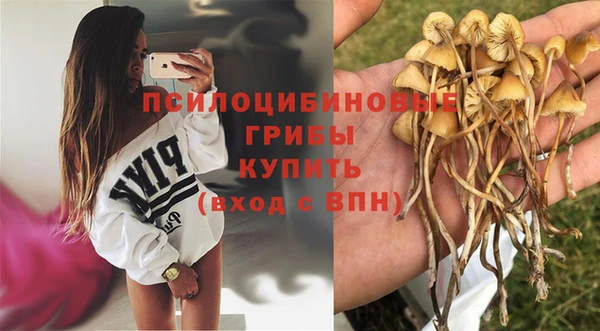 метадон Белокуриха