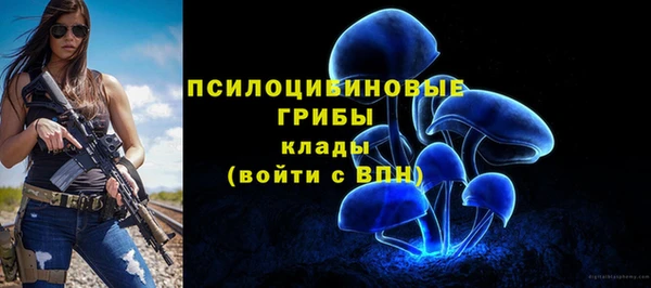 a pvp Беломорск